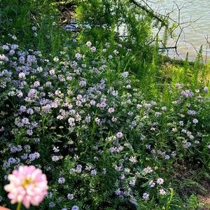 Meet your Posher, Art